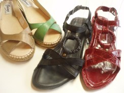 ダニュウ特価商品2